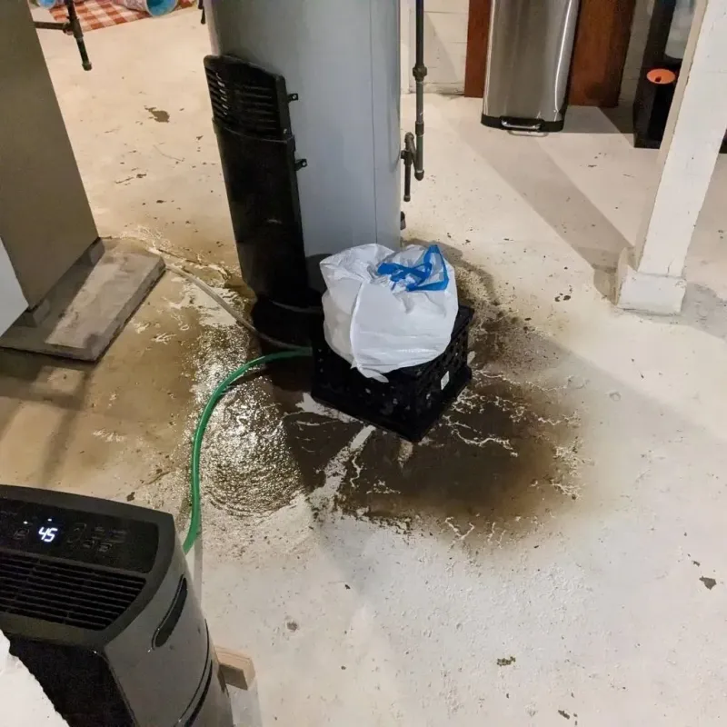 Sewage Backup Cleanup Service in Toombs County, GA